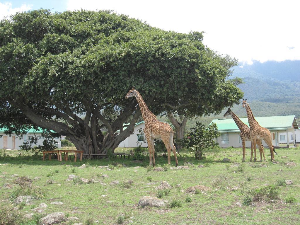 Nature Homes - Africa Amini Life Nkoanrua Exterior foto
